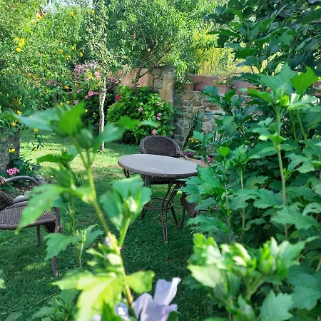 Laura Pensión Potes