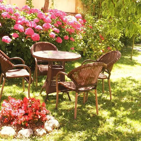 Laura Πανσιόν Potes