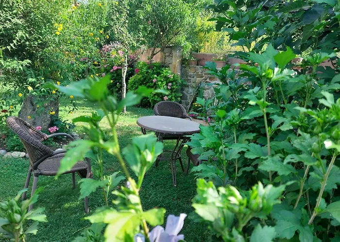 Laura Konukevi Potes